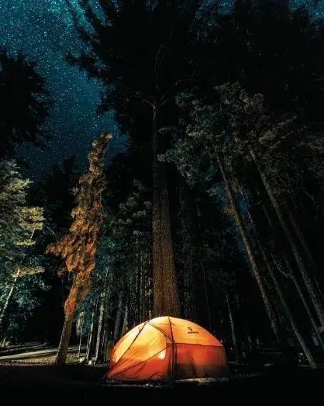 Bonfire camping night in Rishikesh — Wander Sky