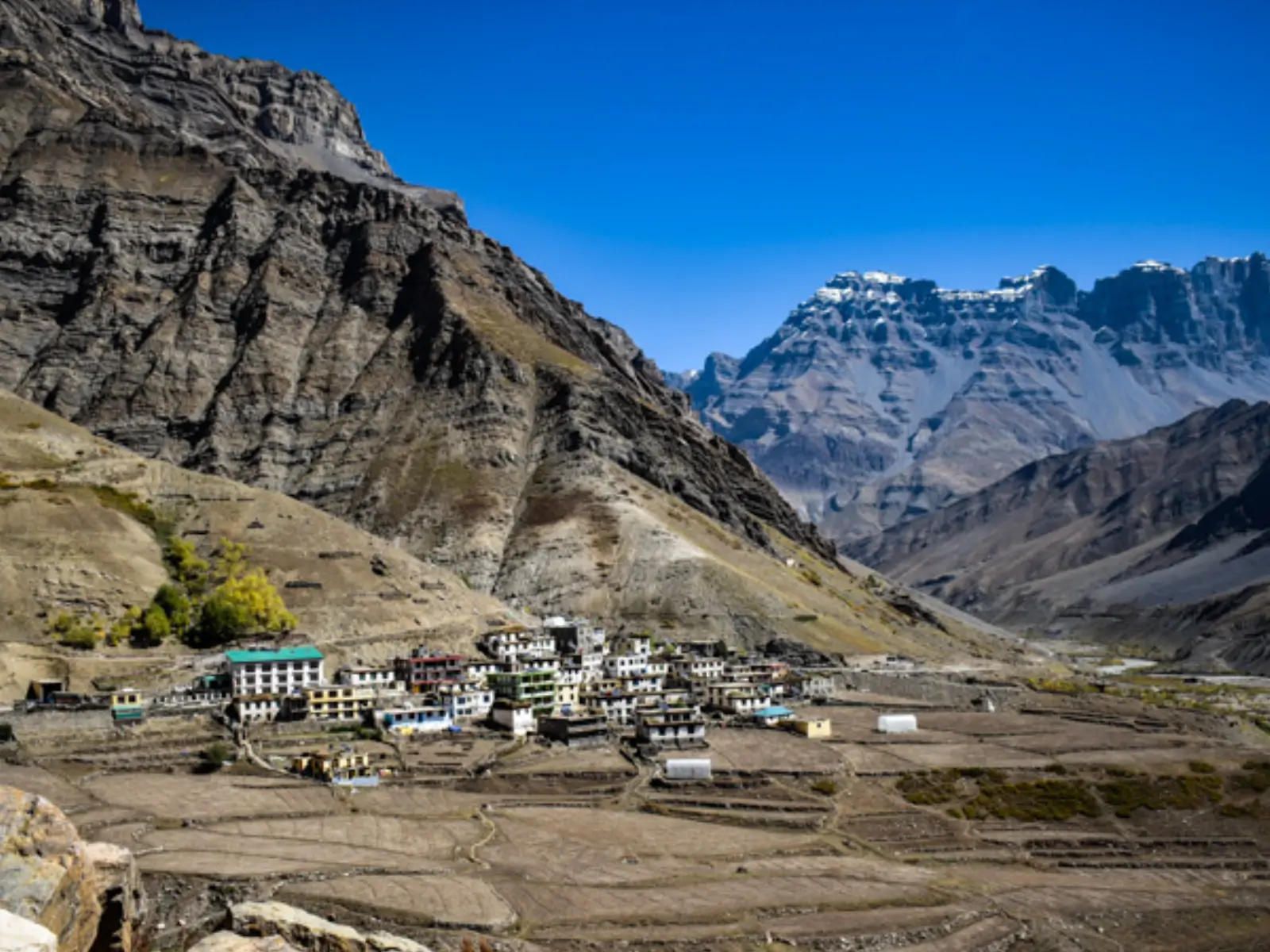 Pin Valley National Park — Snow Leopard Habitat in Spiti Valley, Himachal Pradesh