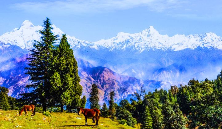 Exploring Munsiyari Embracing the Beauty of the Himalayas