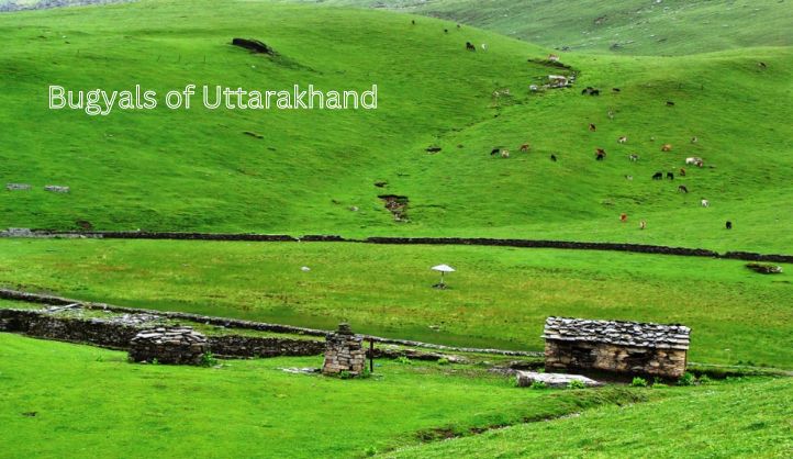 Bugyals of Uttarakhand