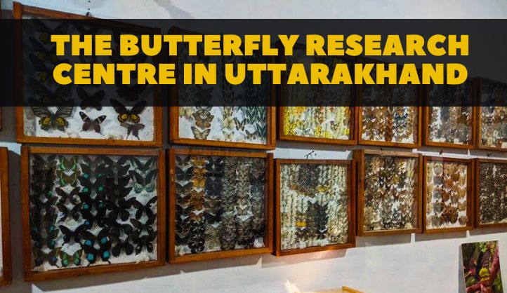 The Butterfly Research Centre in Uttarakhand