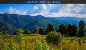 Binsar Wildlife Sanctuary