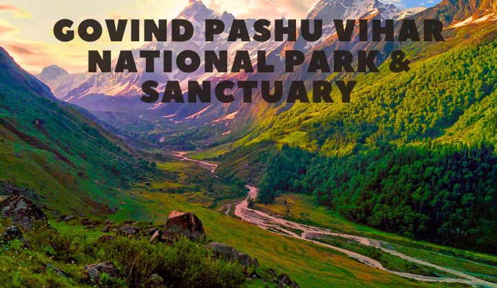 Unveiling the Enchantment of Govind Pashu Vihar National Park and Sanctuary