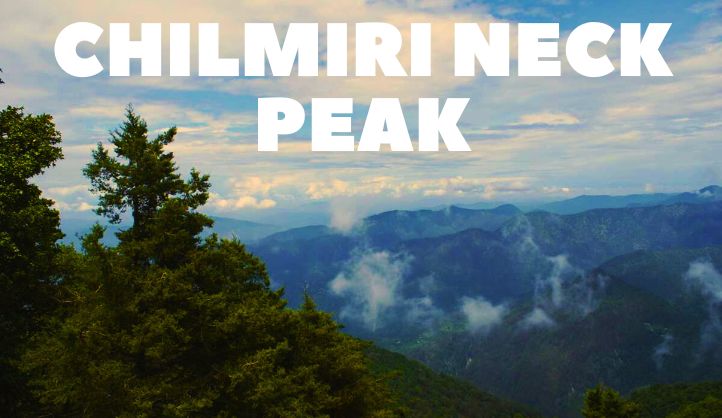 Chilmiri Neck Peak of Chakrata (What to Expect, Timings, Tips)