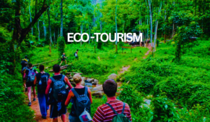 Eco-Tourism in Uttarakhand