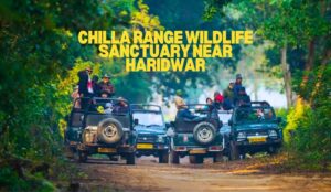 Chilla Range Wildlife Sanctuary Near Haridwar