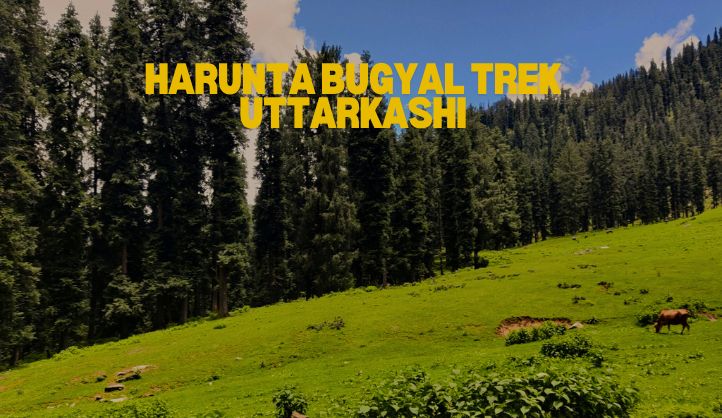 Harunta Bugyal Trek Uttarkashi