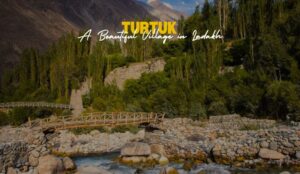 Turtuk Village | A Beautiful Village in Ladakh