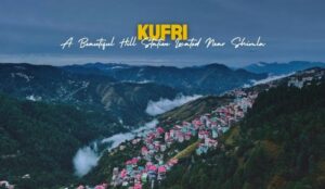 Kufri in Shimla, Himachal Pradesh | A Complete Travel Guide