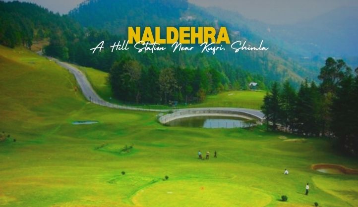 Naldehra near Kufri, Shimla | A Serene Escape into Nature