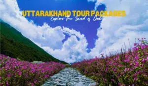Best Uttarakhand Tour Packages | Explore the Land of Gods