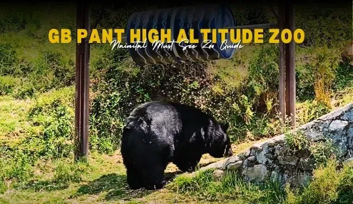 GB Pant High Altitude Zoo | Nainital Must See Zoo Guide