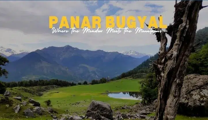 Panar Bugyal Trek Guide | Route, Season, Tips And Himalayan Views