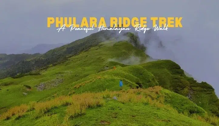 Phulara Ridge Trek | A Peaceful Himalayan Ridge Walk