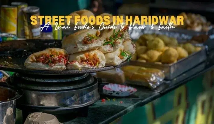20 Must Try Street Foods in Haridwar | Local Foodie's Guide