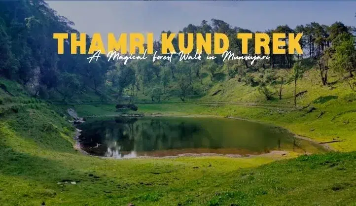Thamri Kund Trek | A Magical Forest Walk in Munsiyari 2 Thamri Kund Trek | A Beautiful Forest Trail in Munsiyari