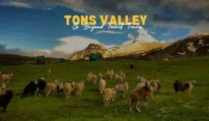 Tons Valley, Uttarakhand | Complete Travel And Trekking Guide