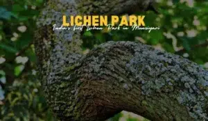 Uttarakhand Lichen Park Munsiyari | Species, and Secrets