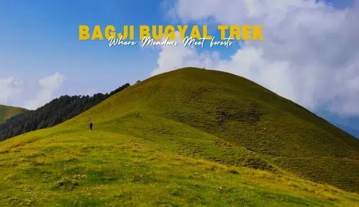 Bagji Bugyal Trek Uttarakhand | Complete Guide