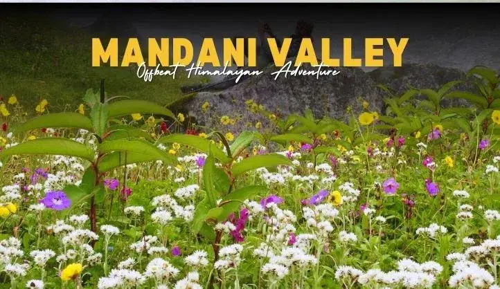 Mandani Valley Trek Uttarakhand