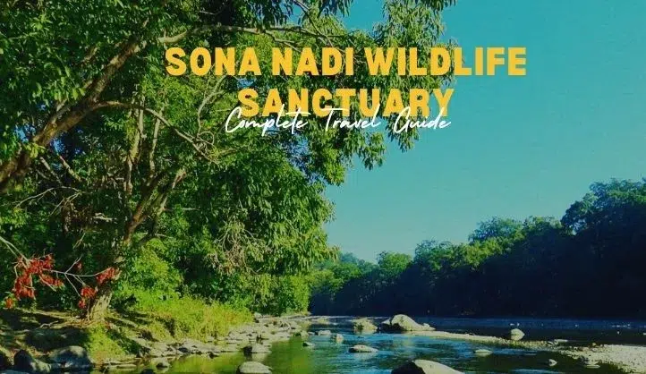 Sona Nadi Wildlife Sanctuary | Complete Travel Guide 2025